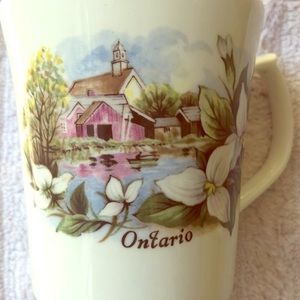 Fine bone China Niagara Falls Ontario tea cup